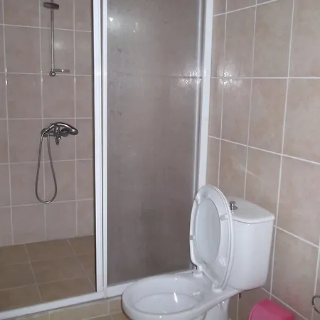 Гостьовий будинок Selen